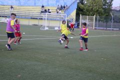tn_IMG_3386