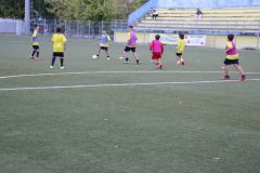 tn_IMG_3387