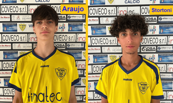Araujo-Stortoni
